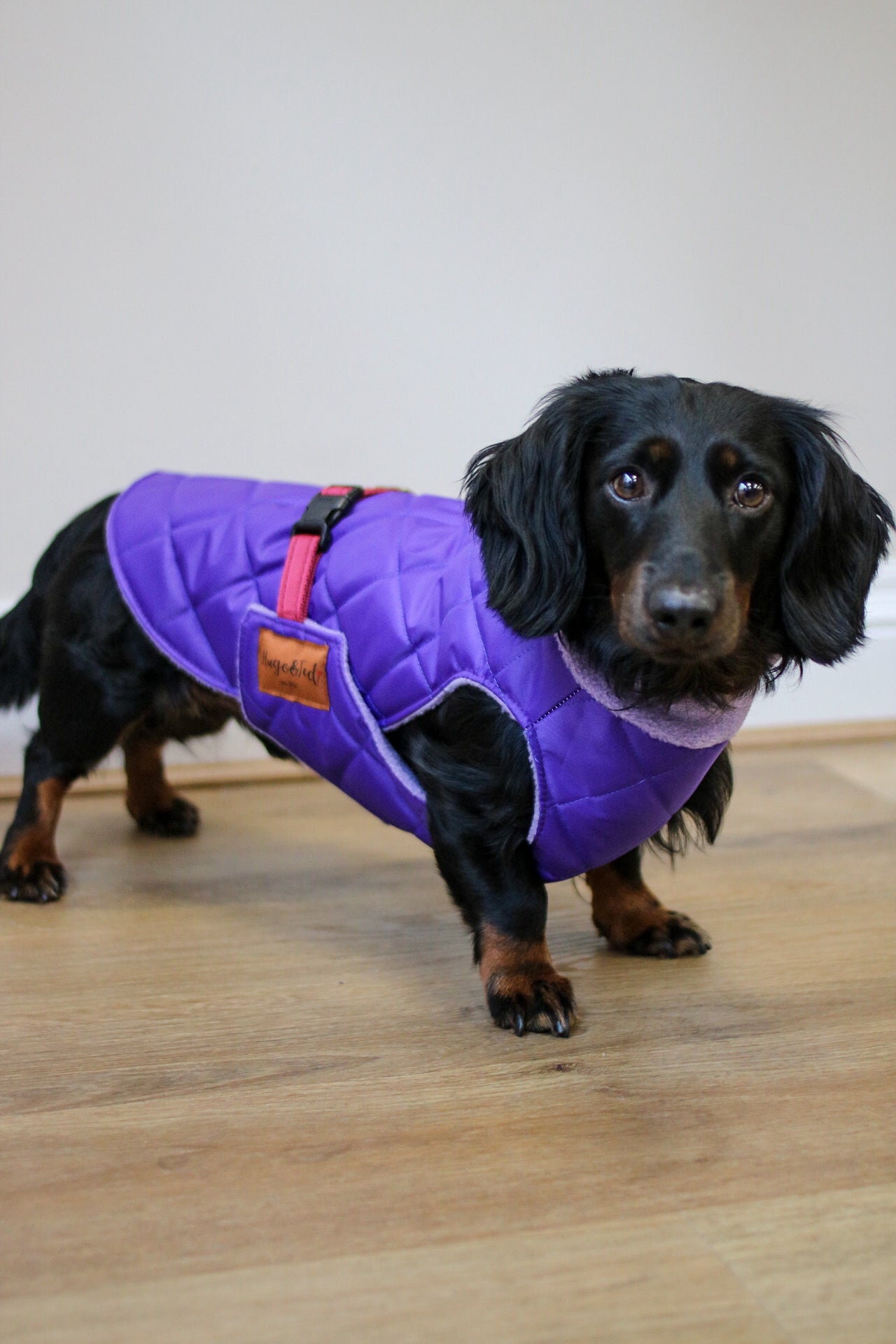 Quilted Ultimate Walkies Waterproof Coat - Hugo and Ted