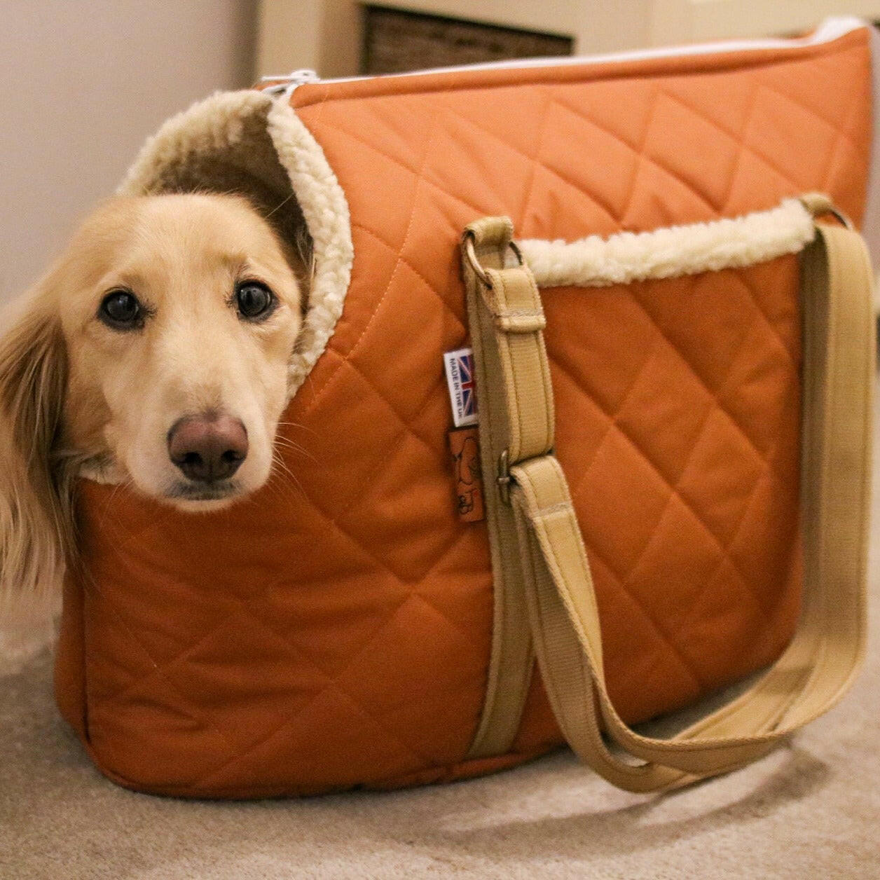 Quilted Waterproof Dog Carry Bags - Hugo and Ted