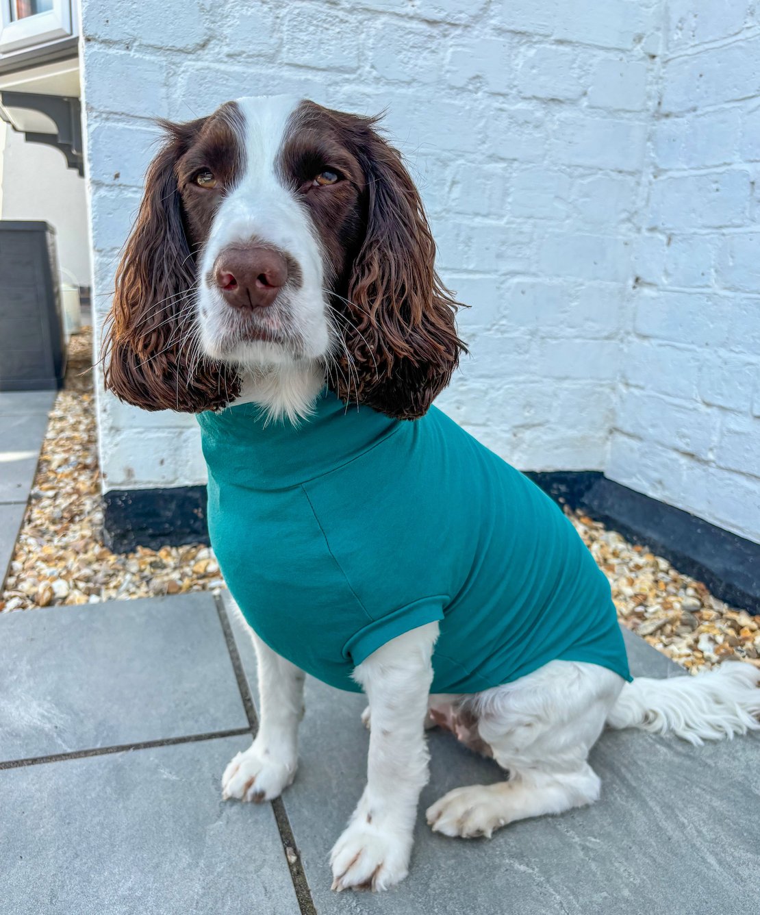 Summer Cotton Cooling/Allergy T - Shirt - Hugo and Ted