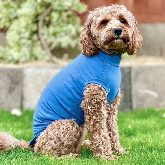Summer Cotton Cooling/Allergy T-Shirt - Hugo and Ted