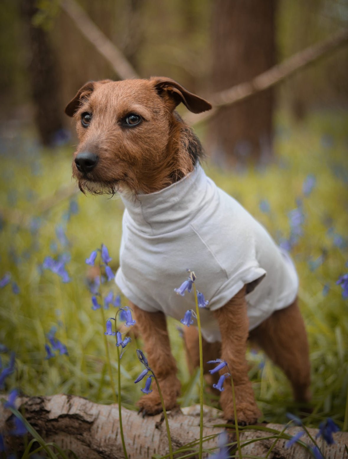 Summer Cotton Cooling/Allergy T - Shirt - Hugo and Ted