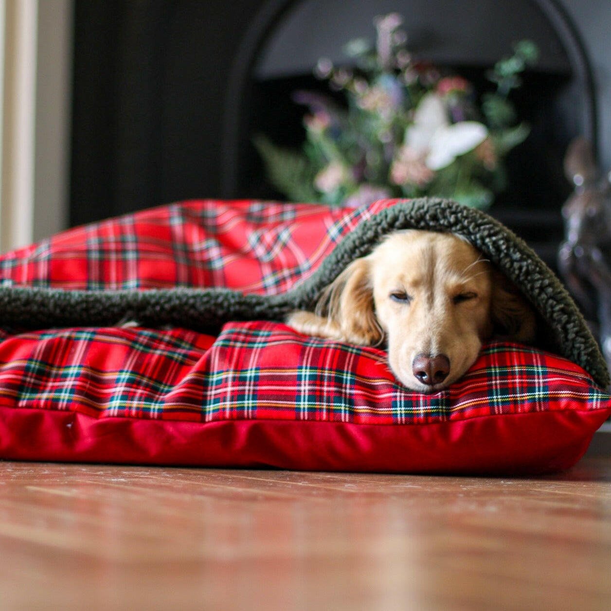 Tartan Collection Design a Den Dog Snuggle Beds Hugo and Ted