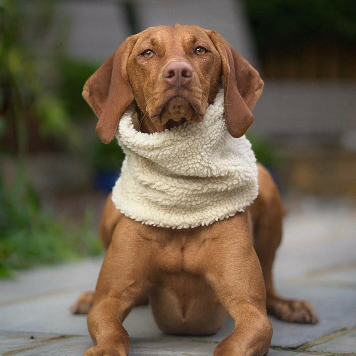 Teddy Bear Snoods - Hugo and Ted