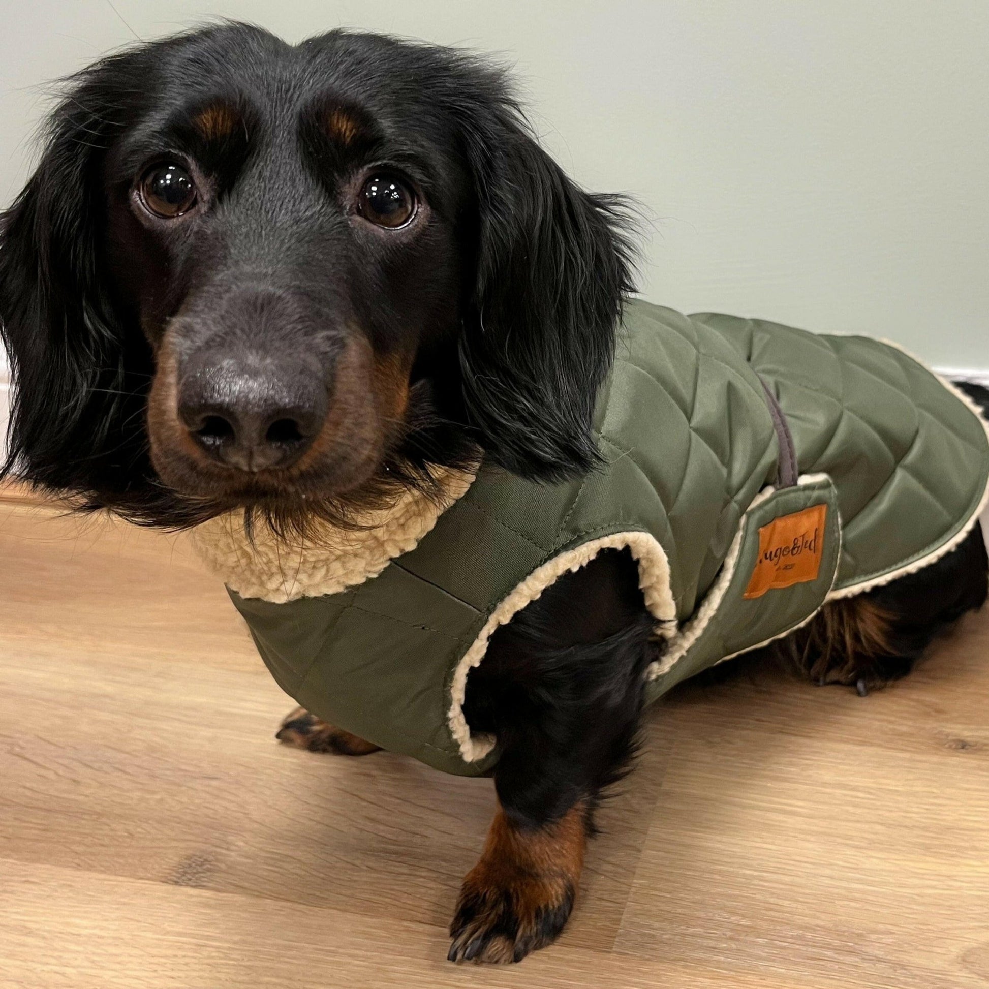 Teddy Fleece Quilted Ultimate Walkies Waterproof Coats - Hugo and Ted