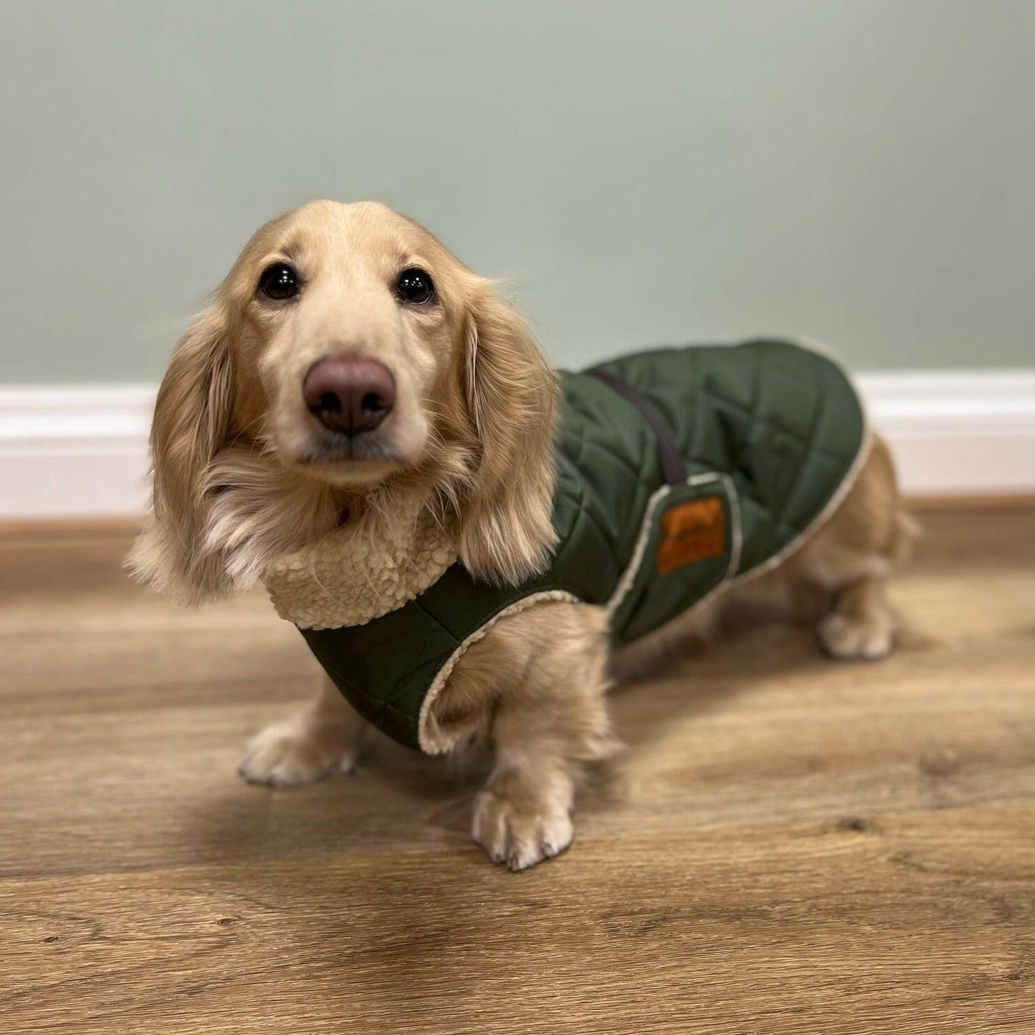 Teddy Fleece Quilted Ultimate Walkies Waterproof Coats - Hugo and Ted