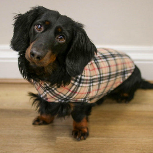 The Simple Snuggle Jumper ® - Hugo and Ted