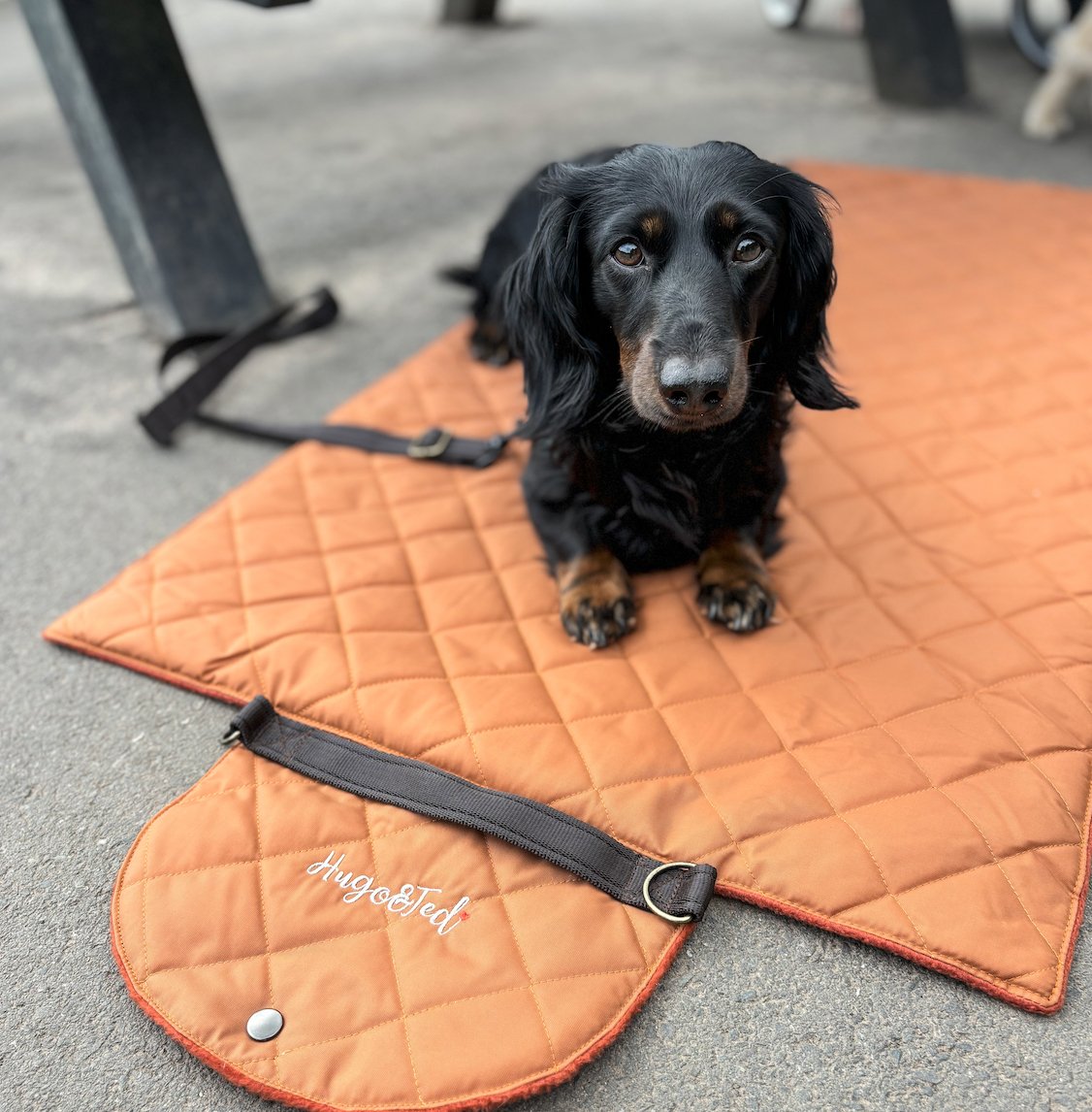 Walkies Mats - Hugo and Ted