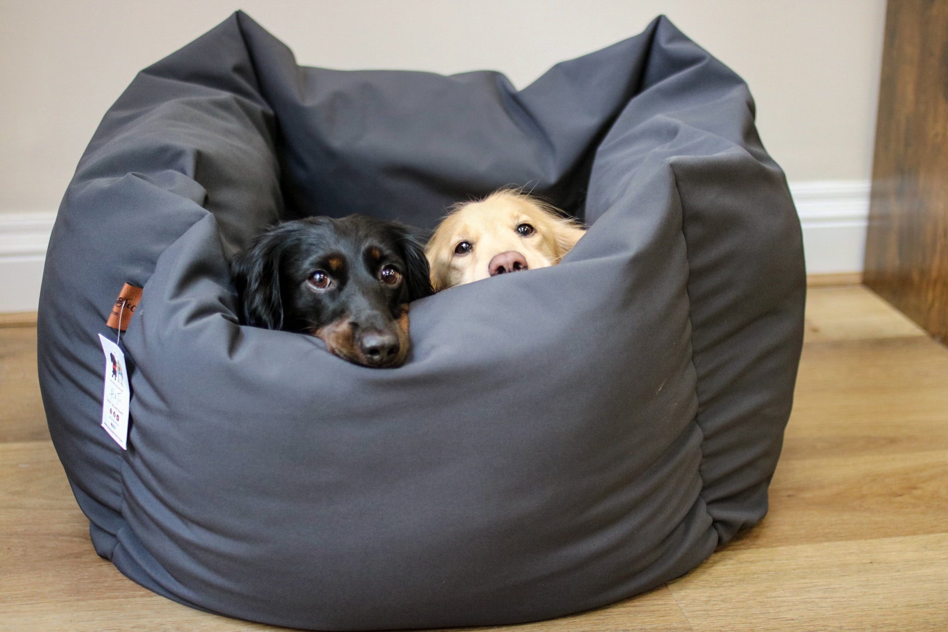 Waterproof Box Beds - Hugo and Ted