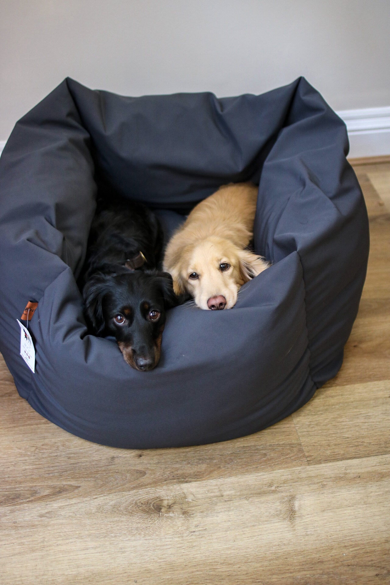 Waterproof Box Beds - Hugo and Ted