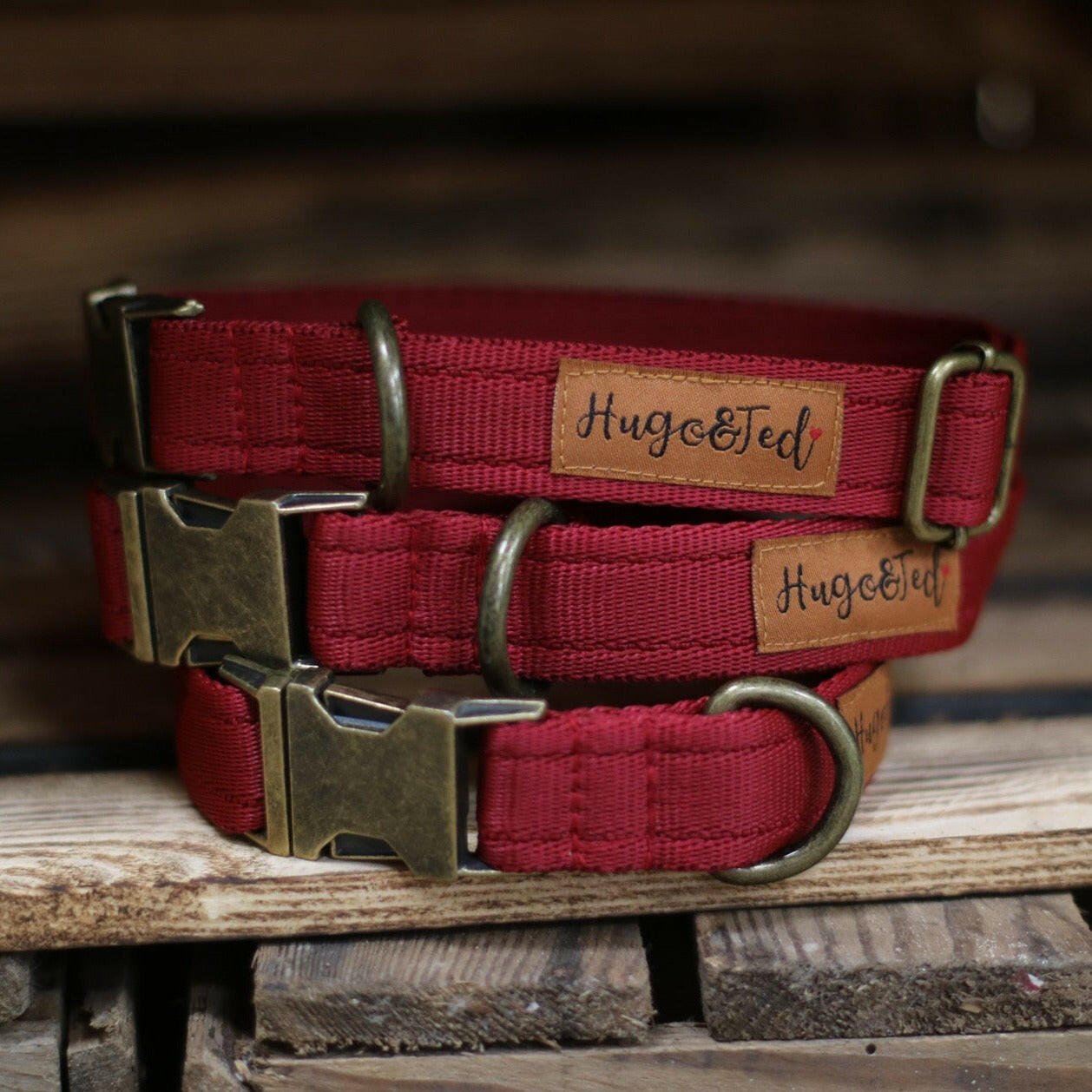 Dog collars and leads uk hotsell