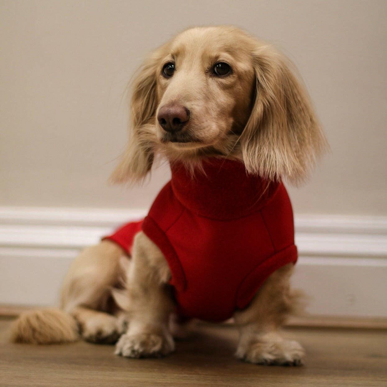 Waterproof Rain Fleeces - Hugo and Ted