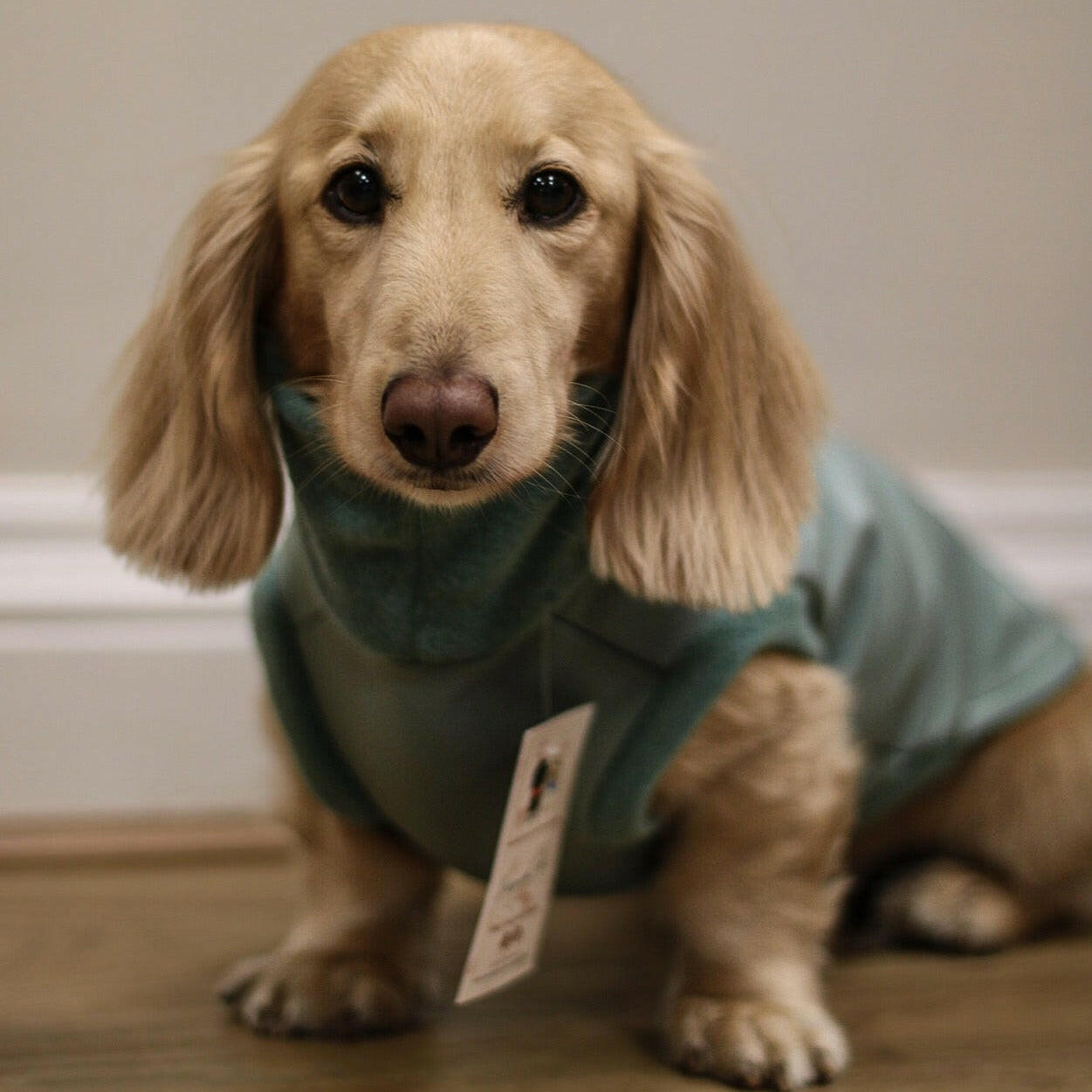 Waterproof Rain Fleeces - Hugo and Ted