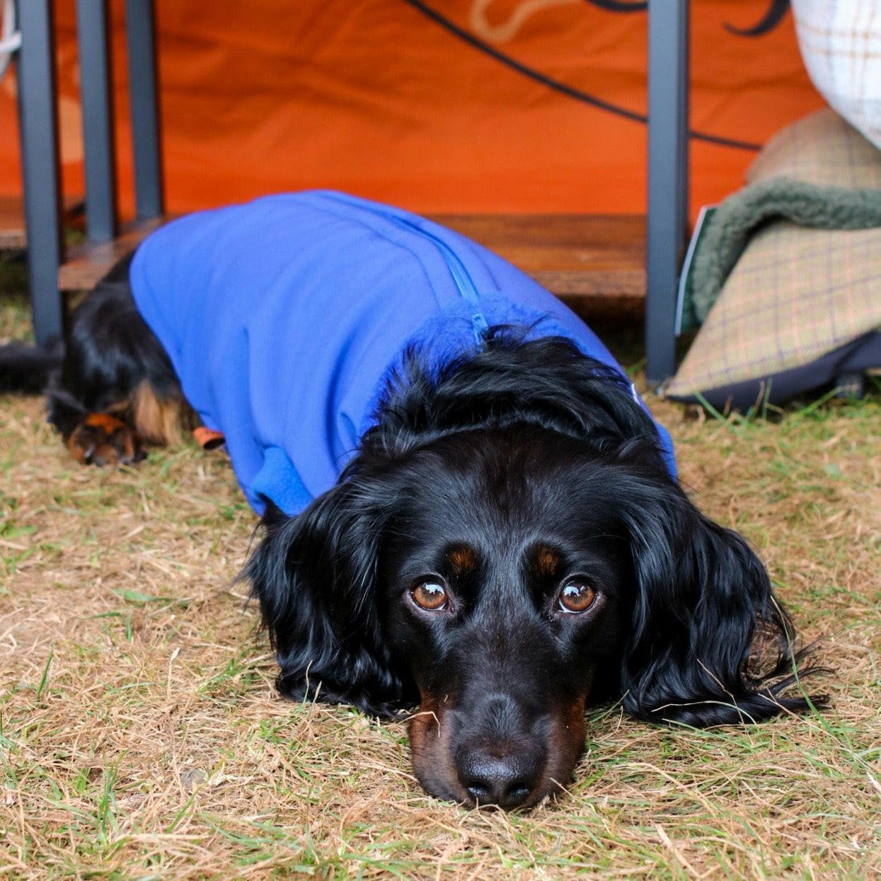 Waterproof Rain Fleeces - Hugo and Ted