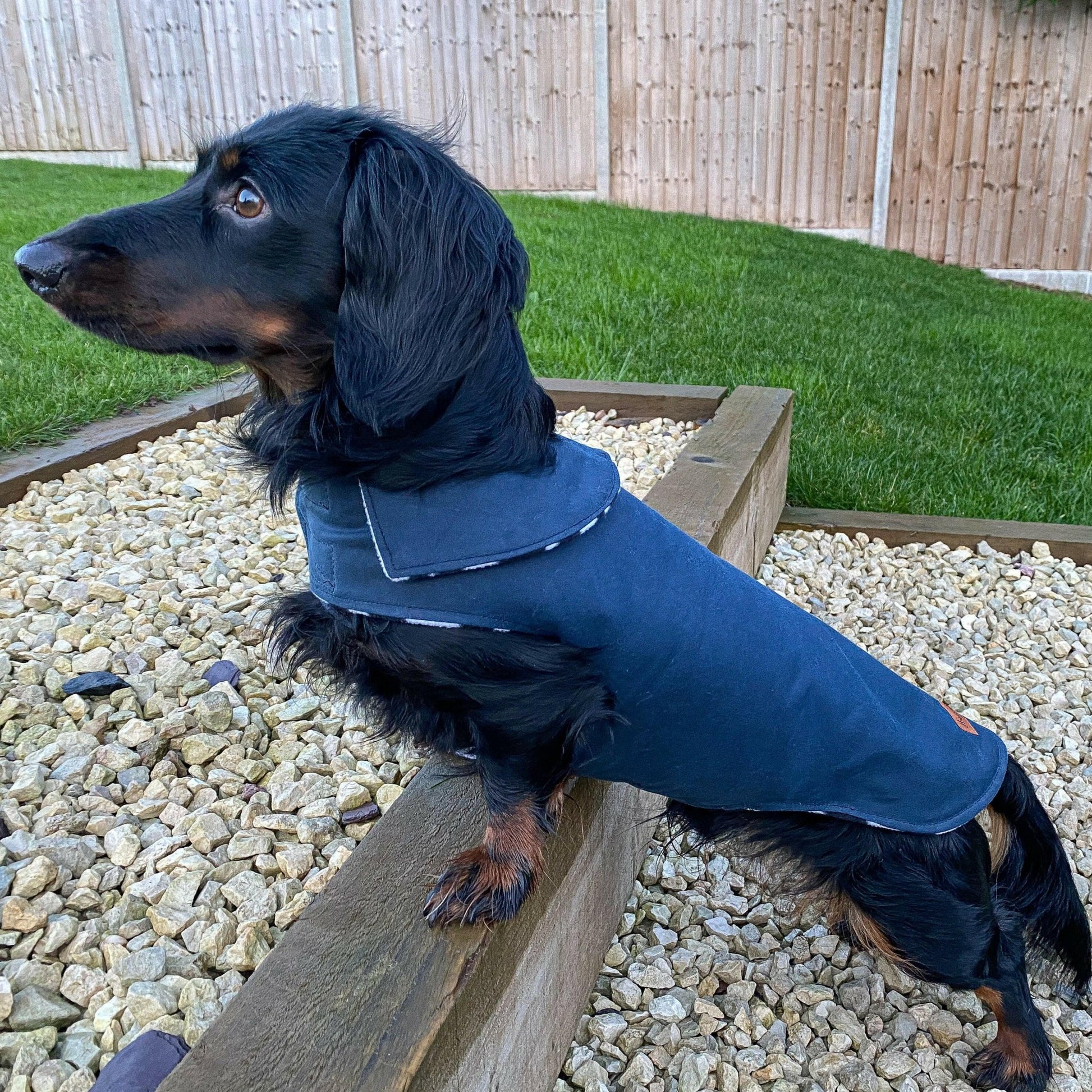 Waxed Cotton, Waterproof Simple Dog Coats - Hugo and Ted