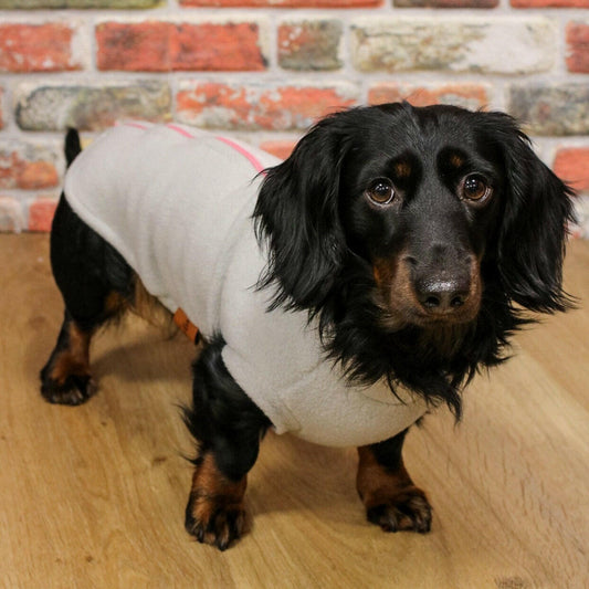 Zip Fleece Snuggle Jumpers - Hugo and Ted